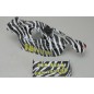 CEN Body (Painted/Decaled) F.F. Buggy