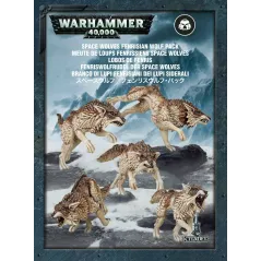 Warhammer 40,000 SPACE WOLVES FENRISIAN WOLF PACK