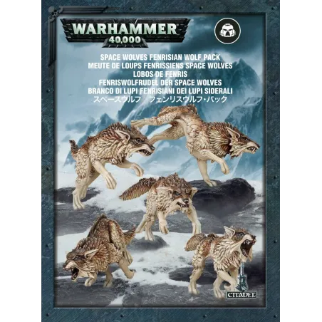 Warhammer 40,000 SPACE WOLVES FENRISIAN WOLF PACK