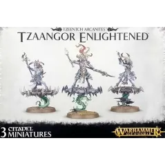 Warhammer TZEENTCH ARCANITES TZAANGOR ENLIGHTENED