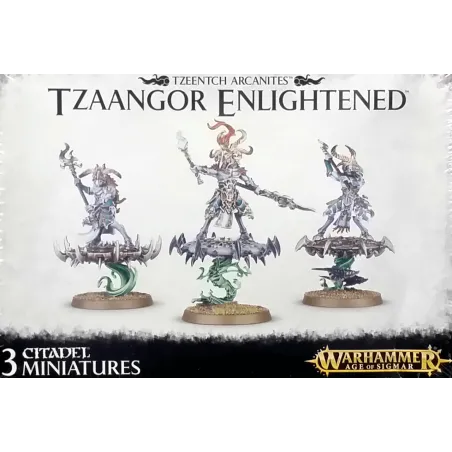 Warhammer TZEENTCH ARCANITES TZAANGOR ENLIGHTENED