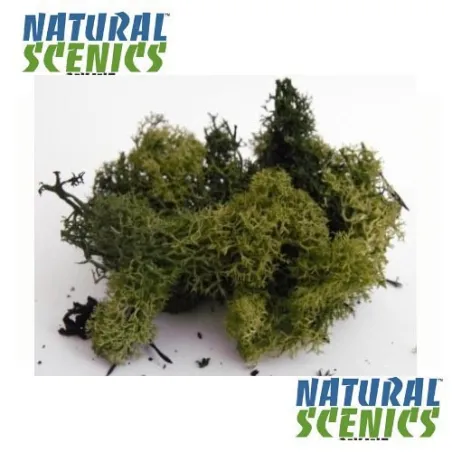 LICHEN/MOSS DARK GREEN SMALL