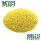 SCENIC SCATTER RAPESEED YELLOW SMALL