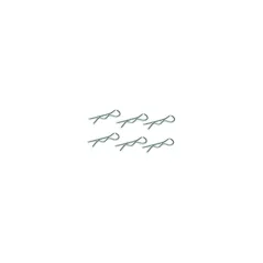 R Clips