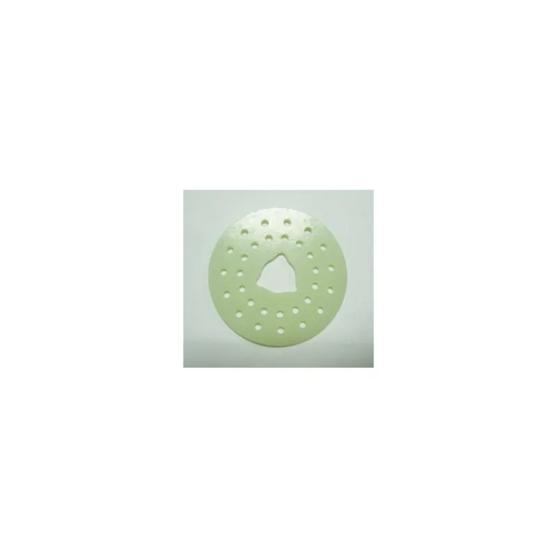 Front Brake Disc