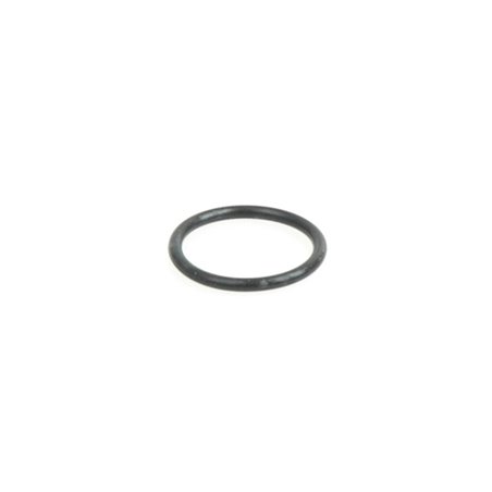 O-ring for Back Plate (1pcs) - X18