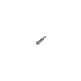 Screw Carb Idle - X28