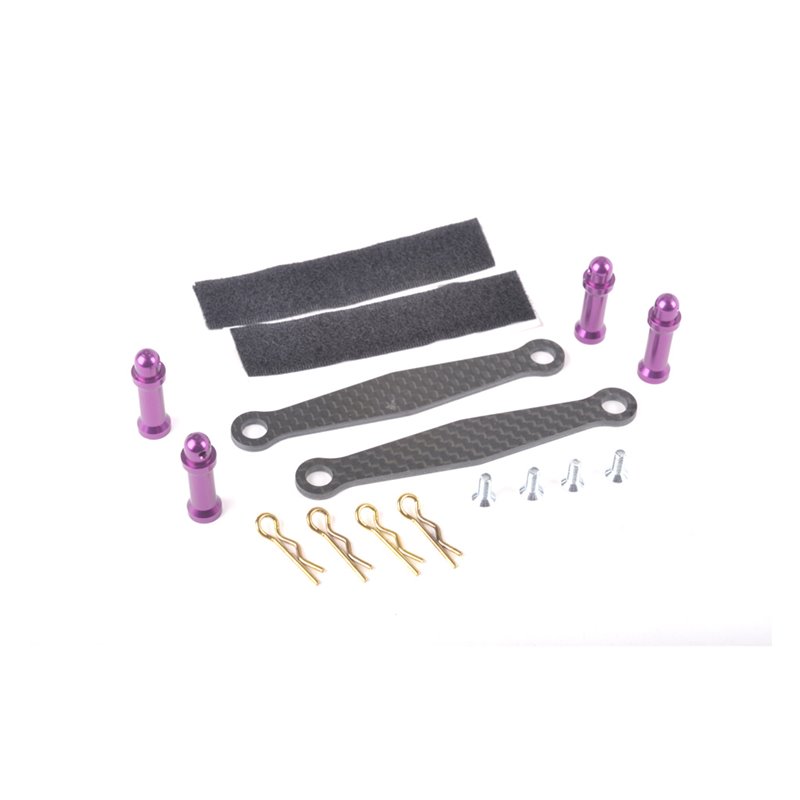 Purple Alloy Battery Posts and C/F Straps