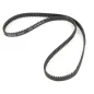 Belt 175T x 8mm - Manic