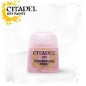 CITADEL CHANGELING PINK  Paint - Dry