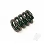 Slipper Tensioner Spring (Conquest)