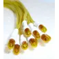 Natual Scenics 3mm red/green/yellow leds 12 pack 