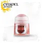 CITADEL AIR: TUSKGOR FUR Paint -Airbrush