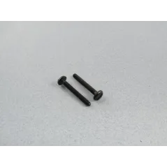 RACTIVE Wingbolt only M6, 50mm (pk2) F-RAA1076