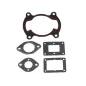 Evolution Engines Engine gasket set 62GX EVOG620850
