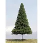 FIR120 Fir 120mm 