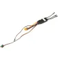 Avian 45 Amp Brushless Smart ESC Avian 45 Amp Brushless Smart ESC
