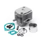 Maverick PISTON WITH CYLINDER SET ME - 243 (BLACKOUT MT) MV24137
