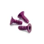 Hpi Racing ALUMINIUM TP FLAT HEAD SCREW 3 X 8MM (HEX SOCKET/PURPLE/5PC Z076