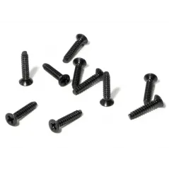 Hpi Racing FLAT HEAD SCREW M2 X 10MM (10 PCS) Z463