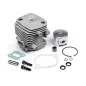 Maverick PISTON WITH CYLINDER SET ME - 342 MV24194