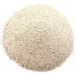 SCENIC SCATTER OFF WHITE LARGE SCENIC SCATTER OFF WHITE LARGE