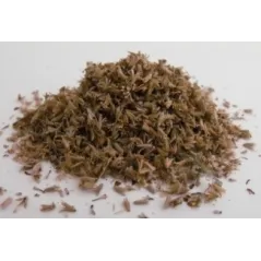 LEAVES (NATURAL MATERIAL) NATURAL small