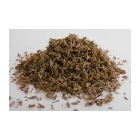 LEAVES (NATURAL MATERIAL) NATURAL small