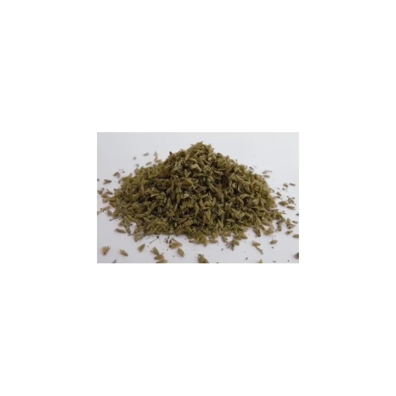 LEAVES (NATURAL MATERIAL) MEDIUM GREEN SMALL