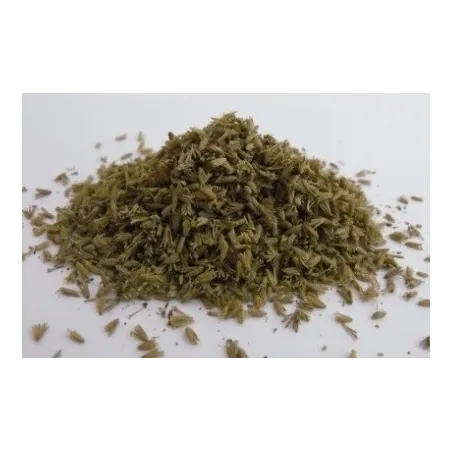 LEAVES (NATURAL MATERIAL) MEDIUM GREEN SMALL