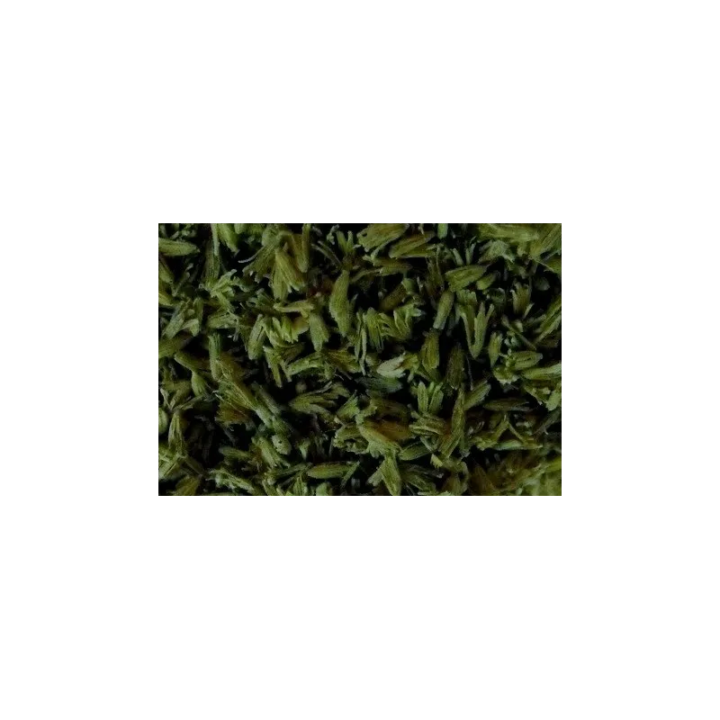 LEAVES (NATURAL MATERIAL) DARK GREEN SMALL