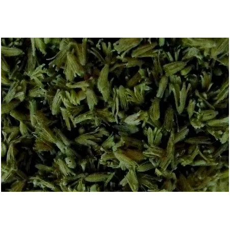 LEAVES (NATURAL MATERIAL) DARK GREEN SMALL