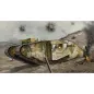 Airfix 02337V WWI Female Tank 1:76 Airfix 02337V WWI Female Tank 1:76