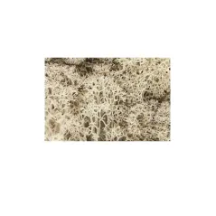 SLOTCAR RACING NATURAL LICHEN 