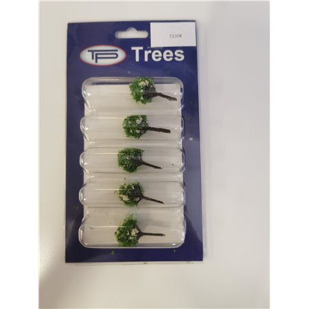 TA30W Fruit Tree with White Blossom  30mm