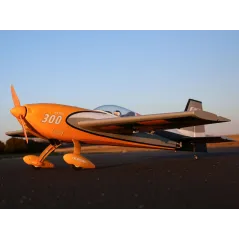Extra 300 1.3M BNF Basic