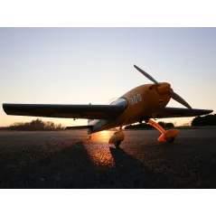 Extra 300 1.3M BNF Basic