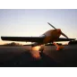 Extra 300 1.3M BNF Basic Extra 300 1.3M BNF Basic