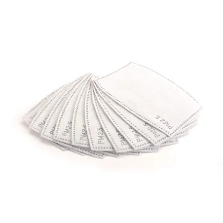 PM2.5 Filter for AM Safety Mask (10)