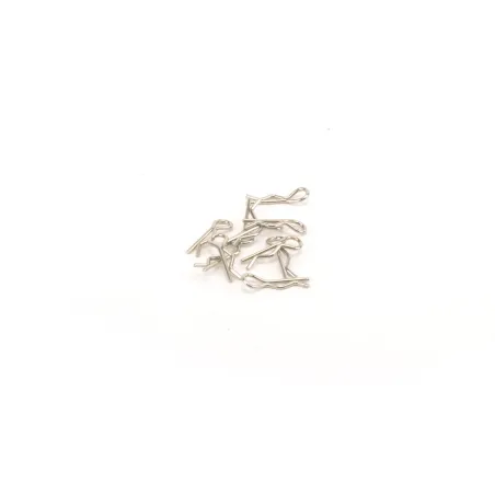 Body Clips