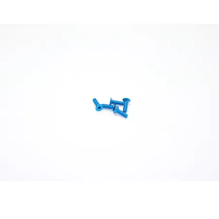 Alu Screw Allen Csk M3 x 10 Blue (5)