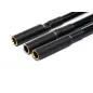Avian 100Amp Brushless Smart ESC, 3-6S Ver. A Avian 100Amp Brushless Smart ESC, 3-6S Ver. A