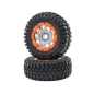 1/5 DBXL-E 2.0 4WD Desert Buggy Brushless RTR with Smart, Fo 1/5 DBXL-E 2.0 4WD Desert Buggy Brushless RTR with Smart, Fo