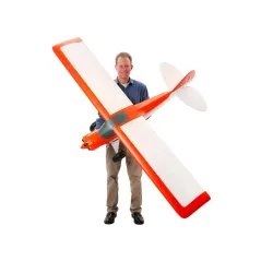 E-flite Carbon-Z Cub SS 2m PNP