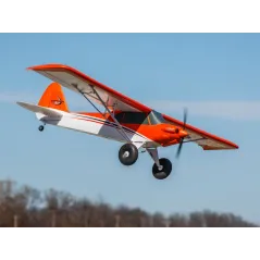 E-flite Carbon-Z Cub SS 2m PNP