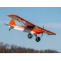 E-flite Carbon-Z Cub SS 2m PNP (MARK ON WING &FUZ)