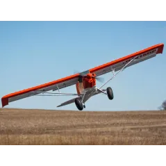 E-flite Carbon-Z Cub SS 2m PNP