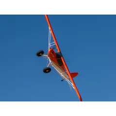 E-flite Carbon-Z Cub SS 2m PNP