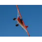 E-flite Carbon-Z Cub SS 2m PNP (MARK ON WING &FUZ)