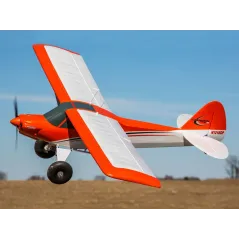 E-flite Carbon-Z Cub SS 2m PNP